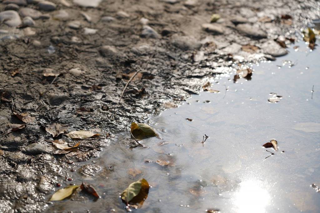 PFAS Explained: What Are These Ubiquitous Chemicals?